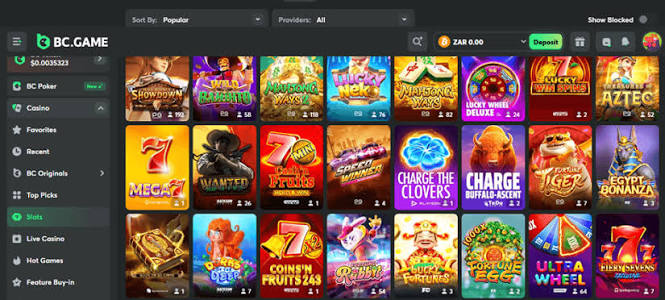 Exploring BC.Game Casino A Leading Cryptocurrency Casino in the USA